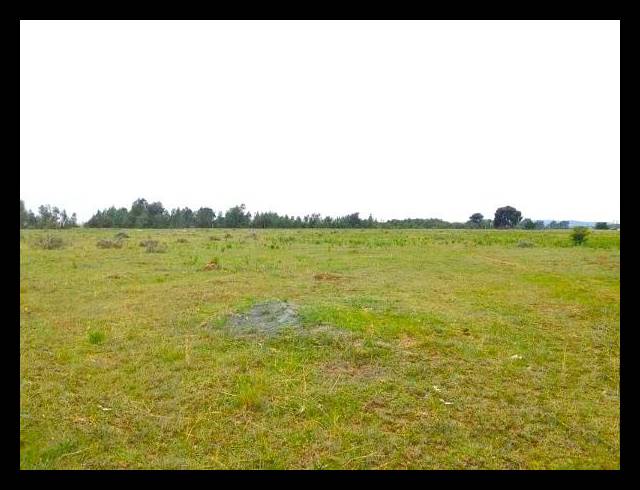 LAND FOR SALE IN NELSONIA